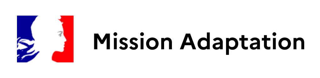Logo Mission Adaptation